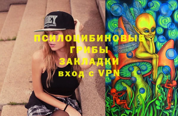 ГАЛЛЮЦИНОГЕННЫЕ ГРИБЫ Нягань