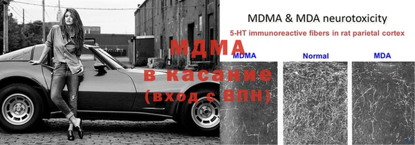 ГАЛЛЮЦИНОГЕННЫЕ ГРИБЫ Нягань