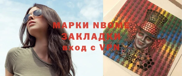 шишки Богородицк