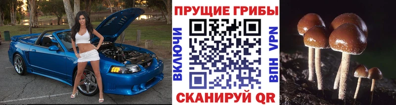 Галлюциногенные грибы Magic Shrooms Богородицк