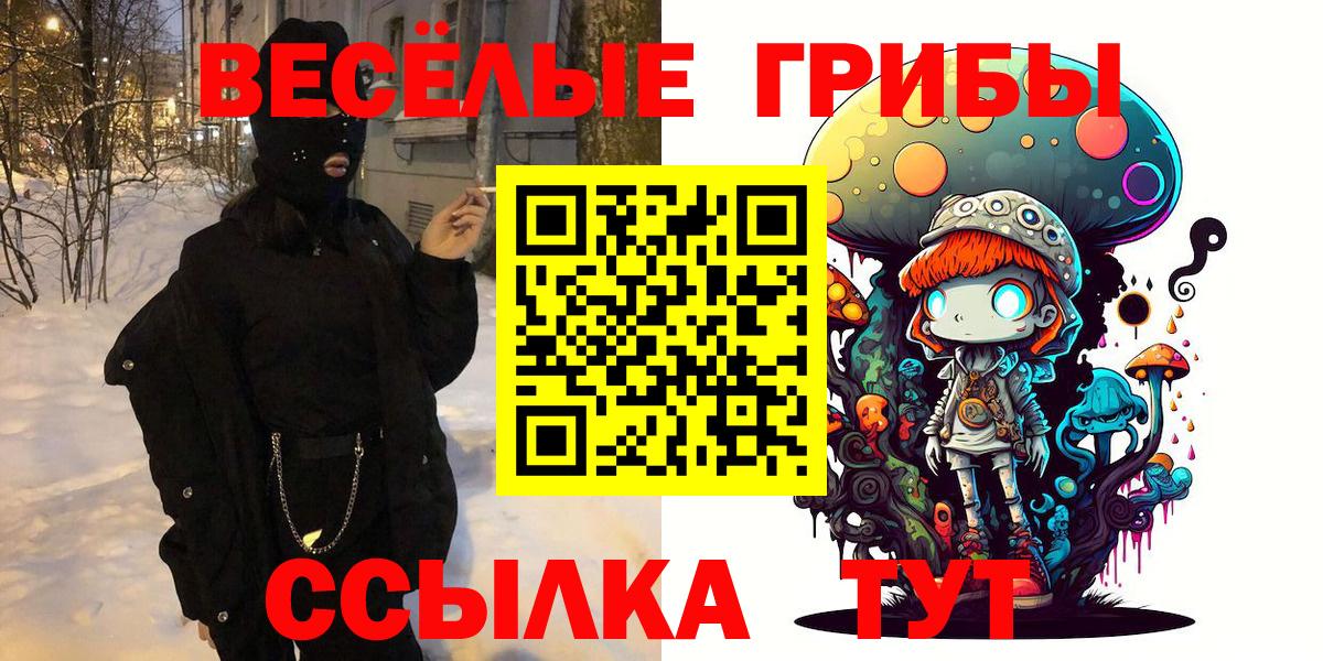 где купить   Богородицк  Галлюциногенные грибы Psilocybine cubensis 